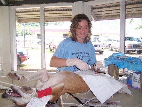 Dr. Robin Brennen operating in Grand Bahama