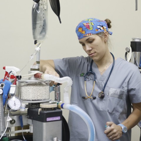 A Volunteer setting up medical equipment